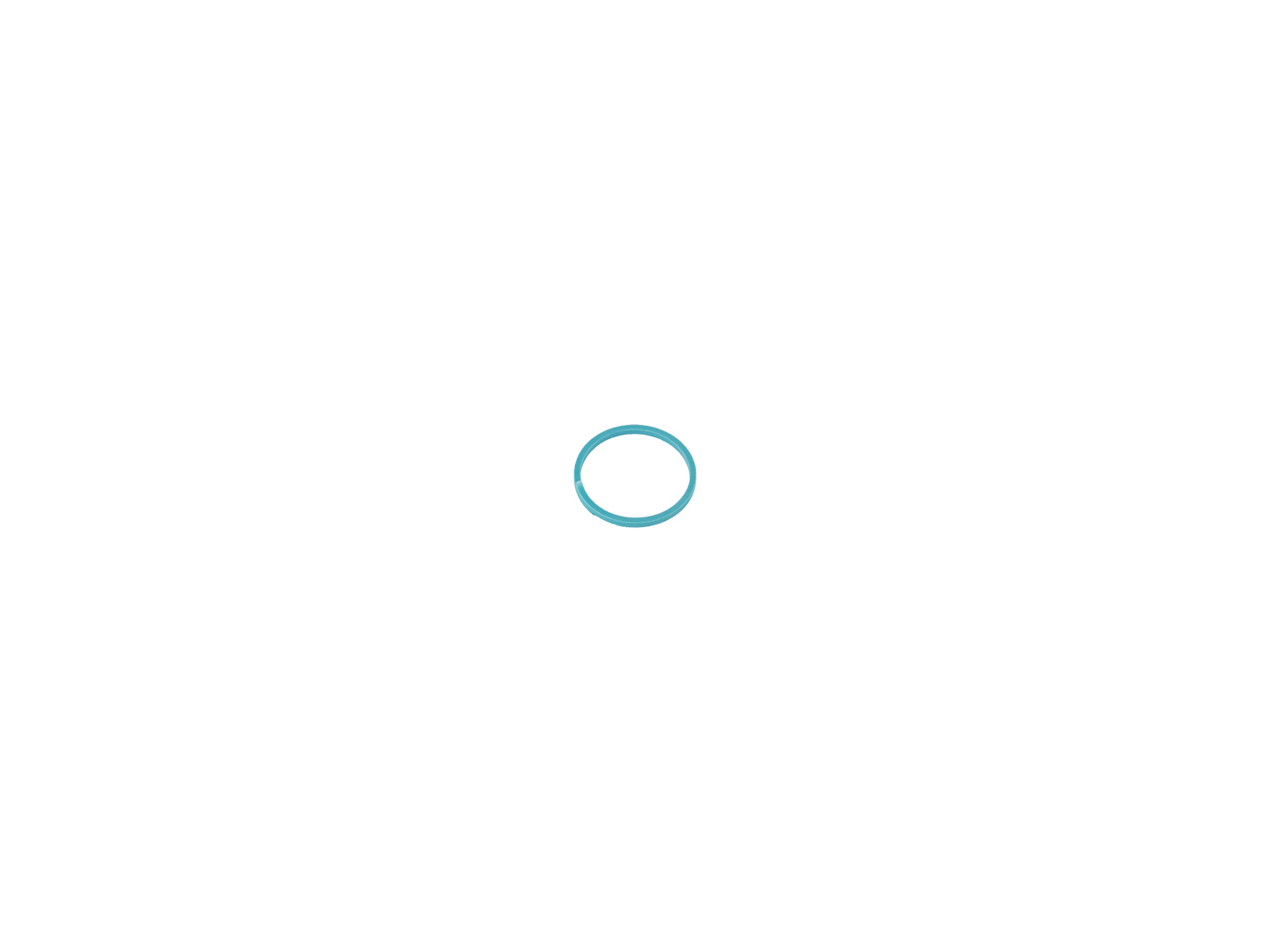 JLG Part # 70025433 | SEALING RING, EA