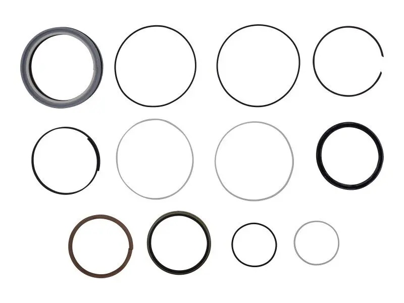 JLG Part # 101252GN | GN-SEAL KIT, LIFT CYL, EA