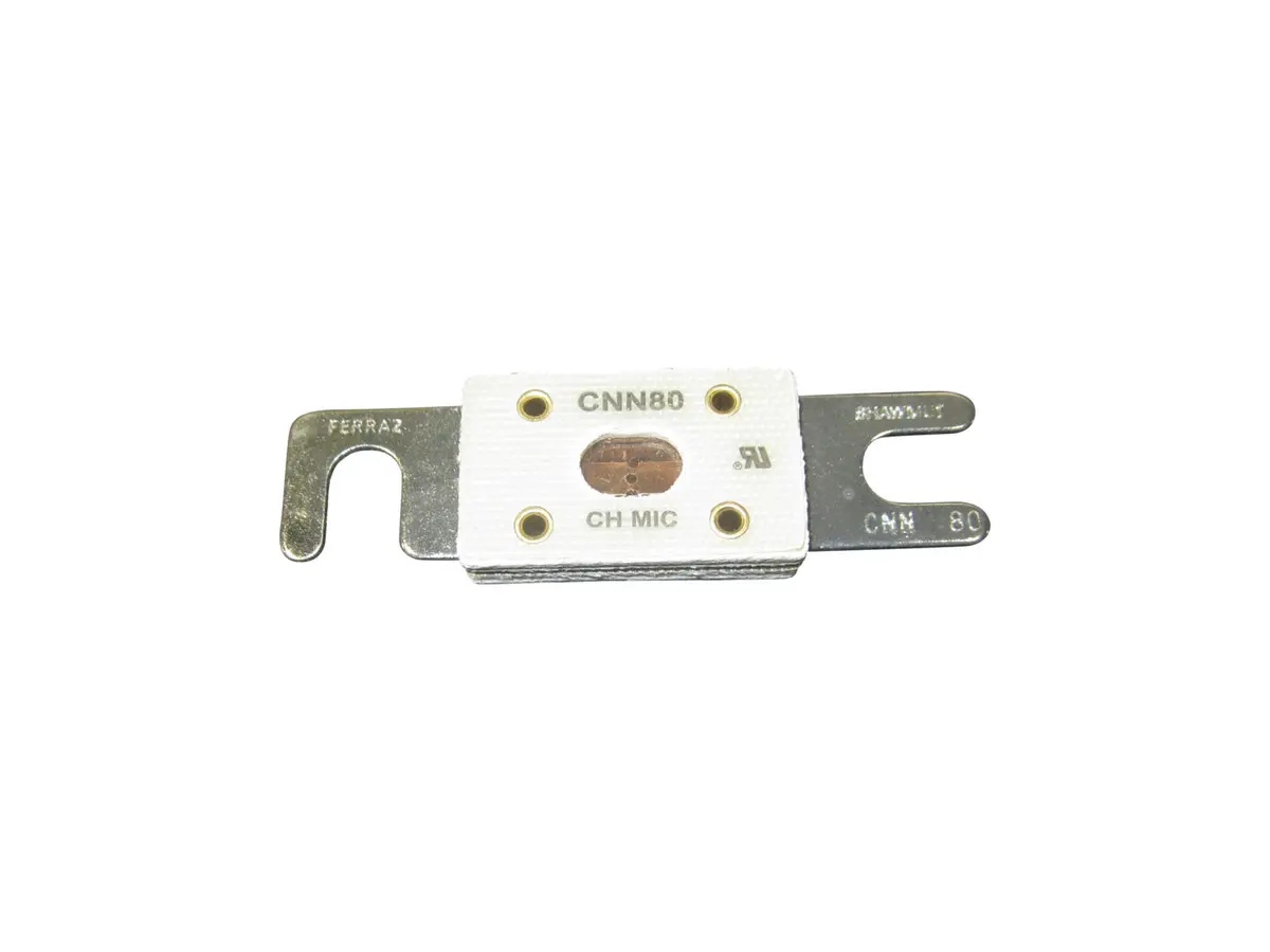 JLG Part # 23422GT | GN-FUSE, 80 AMP, EA