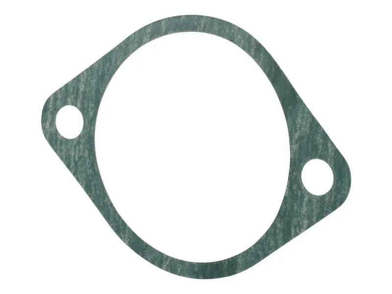 JLG Part # 4125011DTZ | DTZ-GASKET, FAN PUMP, EA