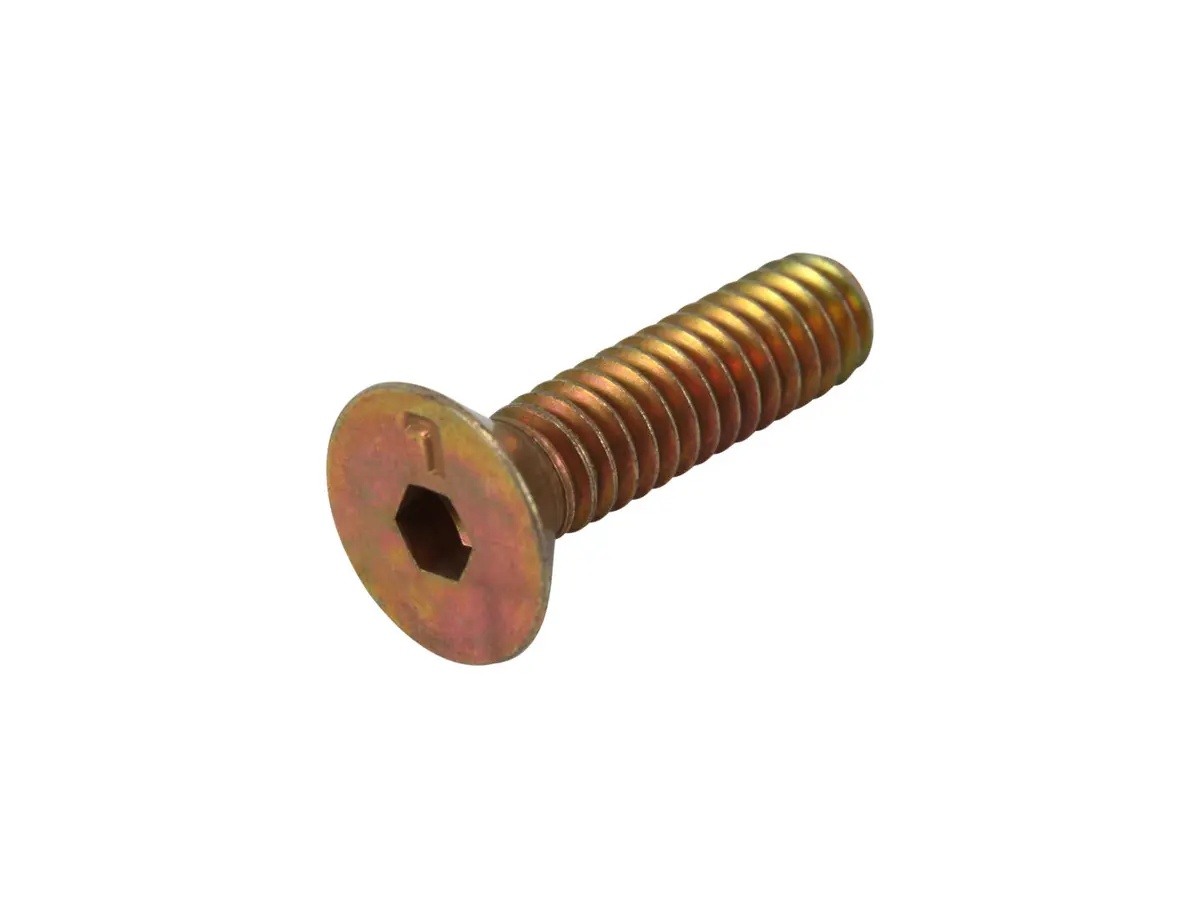 JLG Part # 5560331 | SN-SCR FLT HD SOC,.250-20X1.0, EA