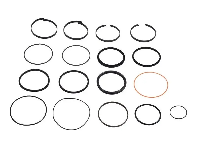 JLG Part # 7-900-117GT | GN-SEAL KIT/LIFT CYLINDER, EA