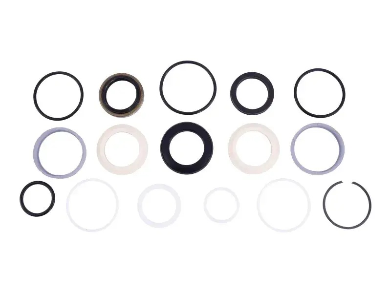 JLG Part # 94261GT | GN-KIT SEAL 94218 CYLINDER, EA