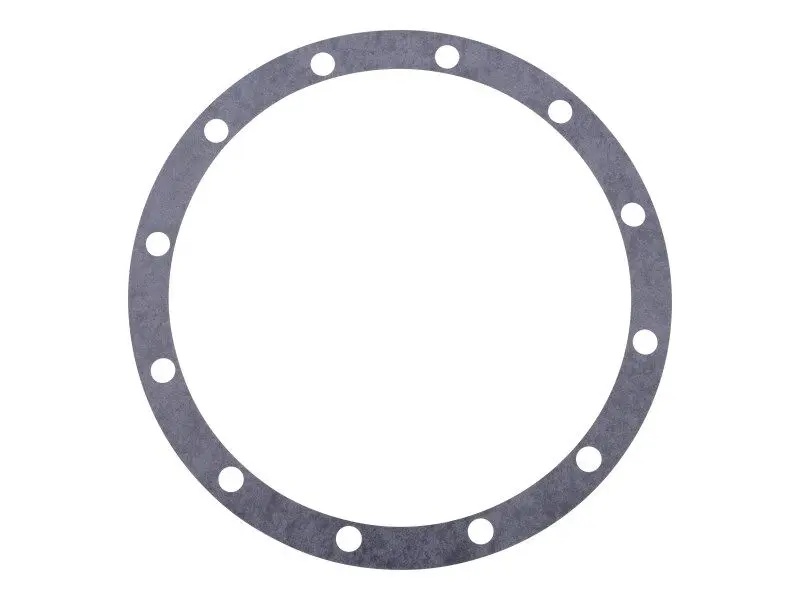 JLG Part # H39534 | DN-GASKET, EA