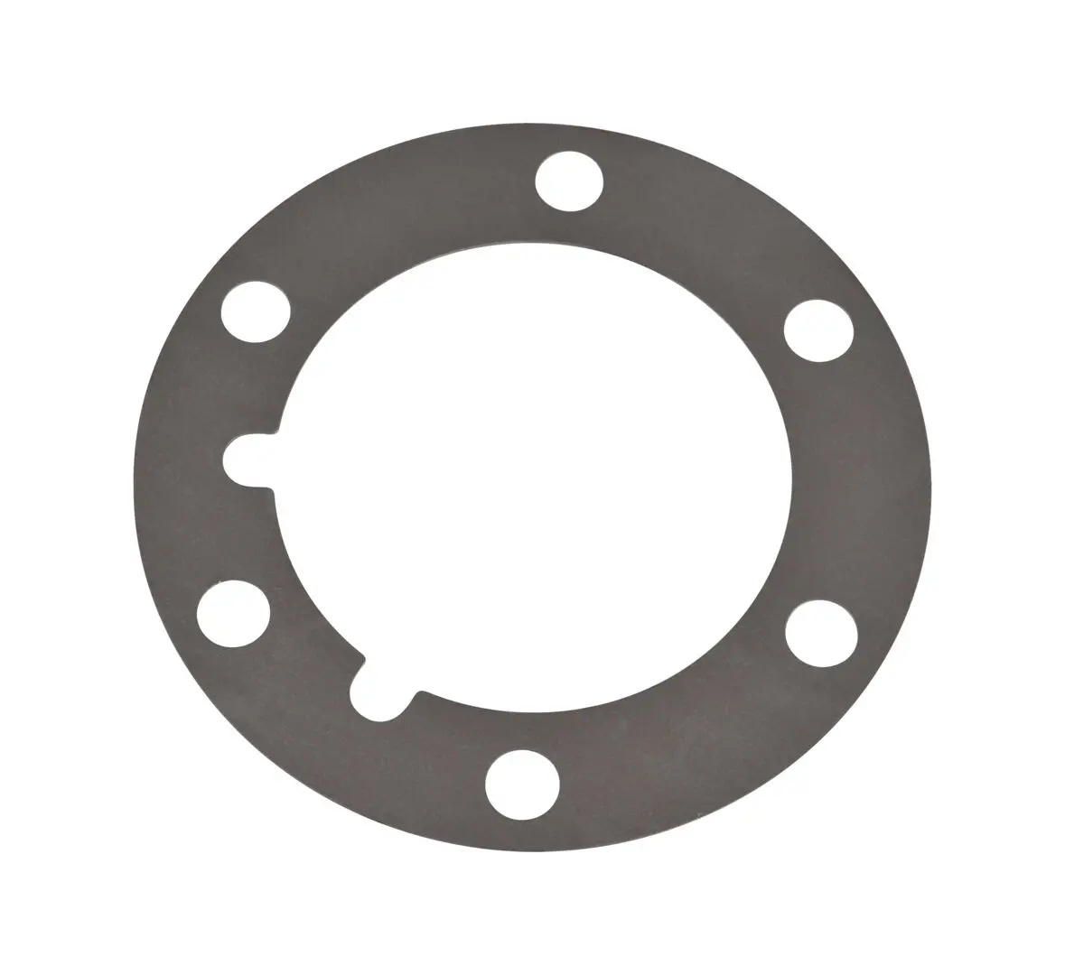 JLG Part # V009201TX | TX-SHIM-PINION-.030, EA