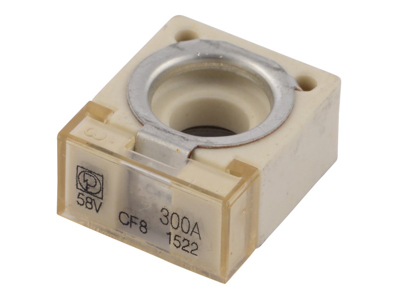 JLG Part # 70043505 | FUSE 300A, EA