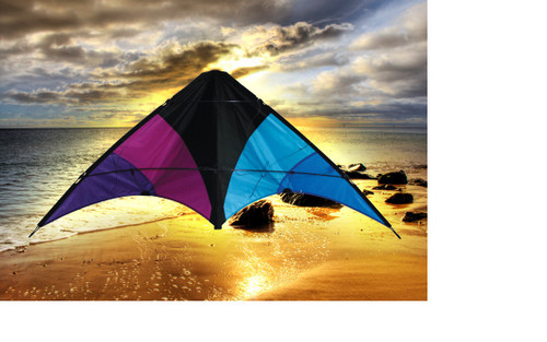 Skydog Kites 20401 Learn to Fly Black