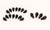 Manley 42173 Bolt Kit - SBC Oil Pan