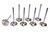 Ferrea F6048-8 Acura C/6 33mm Intake Valves