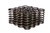Comp Cams 973-16 .970 Dia. Inner Valve Springs- .700 ID.