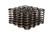Comp Cams 975-16 .960 Dia. Inner Valve Springs - .700 ID.