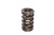 Comp Cams 26921-1 1.300 Dual Valve Spring - GM LS1