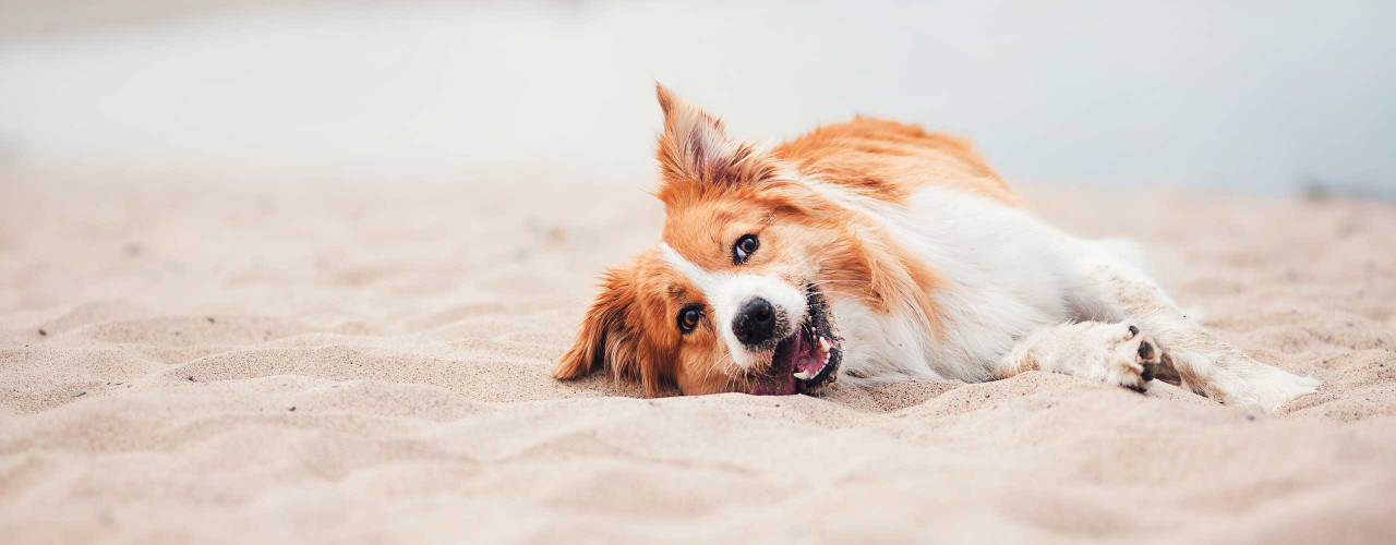 Subscribe for 20% off your first order