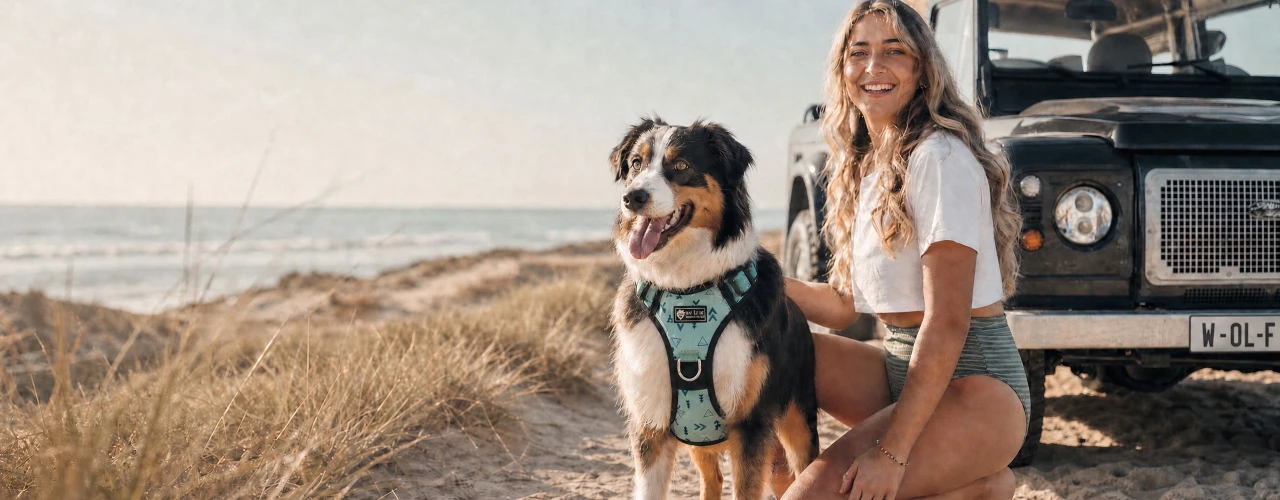 Premium Practical Dog Gear Designed For Every Adventure