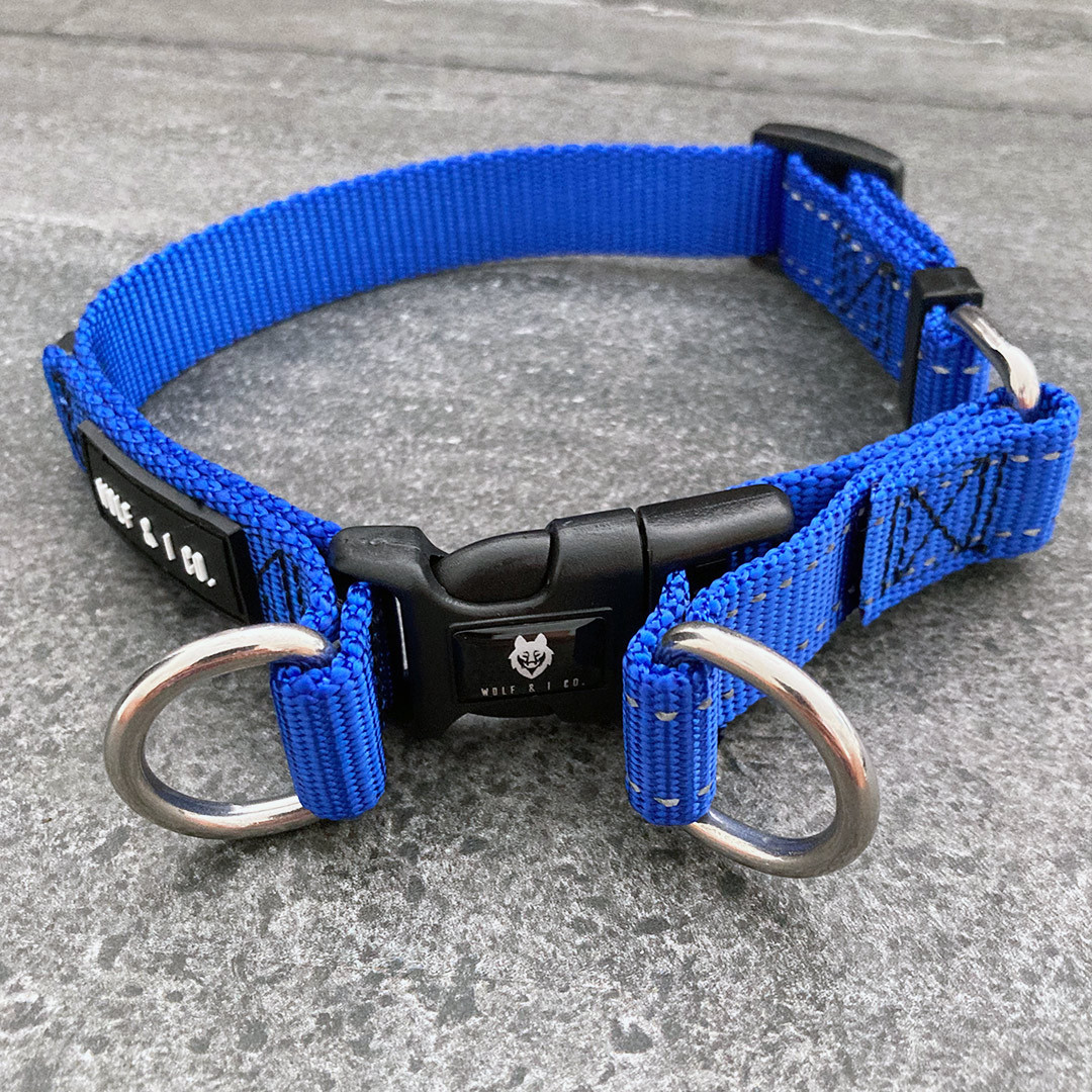 tough dog collars