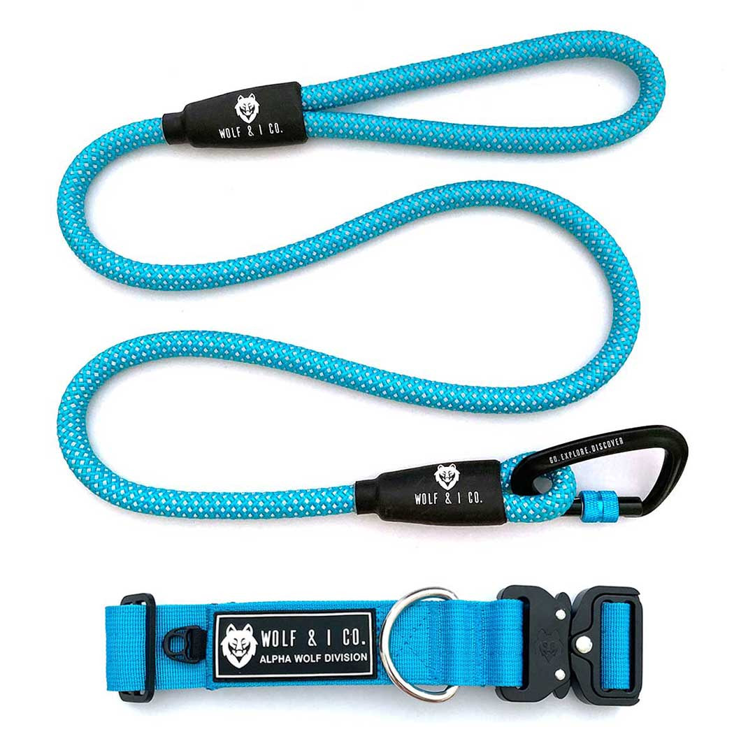 Light Blue Dog Leash Dog Collar Set Wolf I Dog Gear