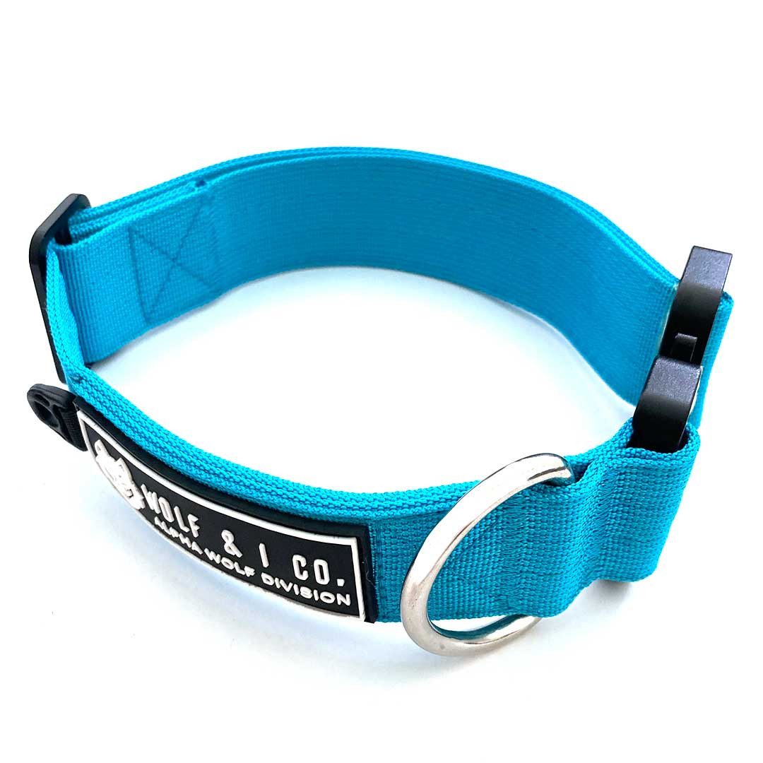 Light Blue Dog Leash Dog Collar Set Wolf I Dog Gear
