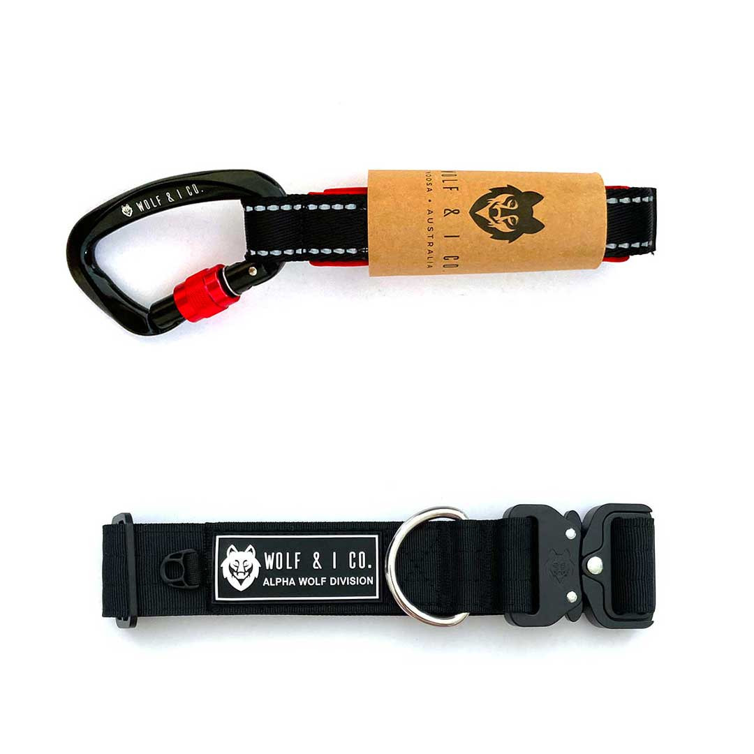 Black Training Leash Collar Set Shop Dog Training Sets