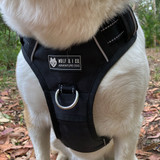 The harness makes things easier for the hoomans due to the front leash attachment.