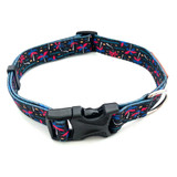 Pair the Palm Springs Dog Collar to the Palm Springs 5ft Carabiner Dog Leash.