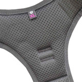 All Wolf & I co. no pull dog harnesses feature a padded mesh design to ensure your dogs comfort while walking.