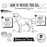How to measure your dog for the perfect fitting Dog harness