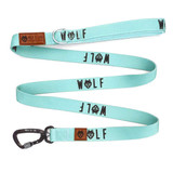 Carabiner dog leashes are a reliable leash for everyday dog walking. Match with the Agave Dog Collar and Aspen No Pull Dog Harness.