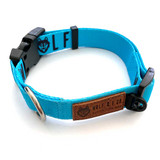 Durable blue dog collars for daily dog walking.  Shop online now and save.