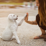 ​10 Mental Health Benefits Of Having A Dog