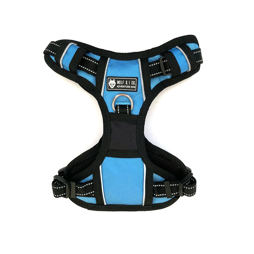 Image showcasing Bestselling No Pull Puppy Harness | Shop Black Harnesses Online