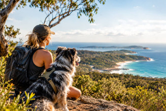 Dangers Of Paralysis Ticks To Dogs In Australia