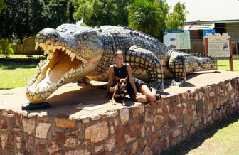 Travelling The Savannah Way With Dogs