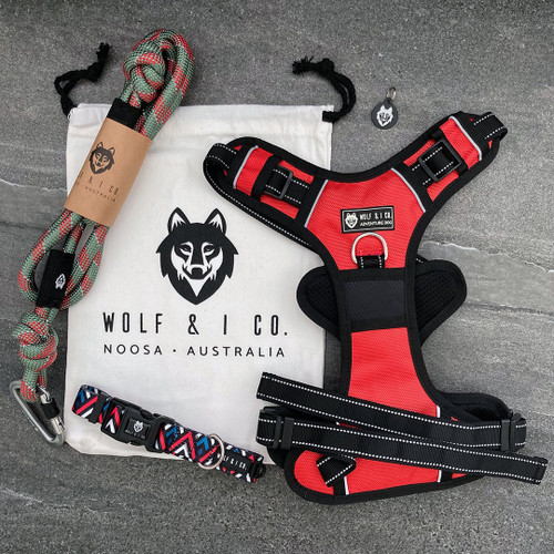Featuring an Extra Large Reflective No-Pull Harness, 6ft Knotted Series Leash (colour of your choice) an XL Cafe Series Collar and an ID Tag. All these items are packed into a large cotton carry bag, ready for gifting. 