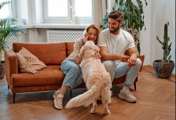 Dogs Are Family: How Dog-Centred Living Is Changing Travel, Homes and Modern Families