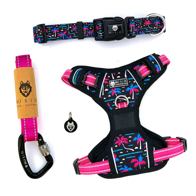 Wolf & I Co. puppy packs contain all of the essentials you need for your new puppy. Featuring a Small Reflective No Pull Puppy Harness, 1.5ft Short Puppy Training Leash, S/M Puppy Collar (colour of your choice) and ID Tag. 