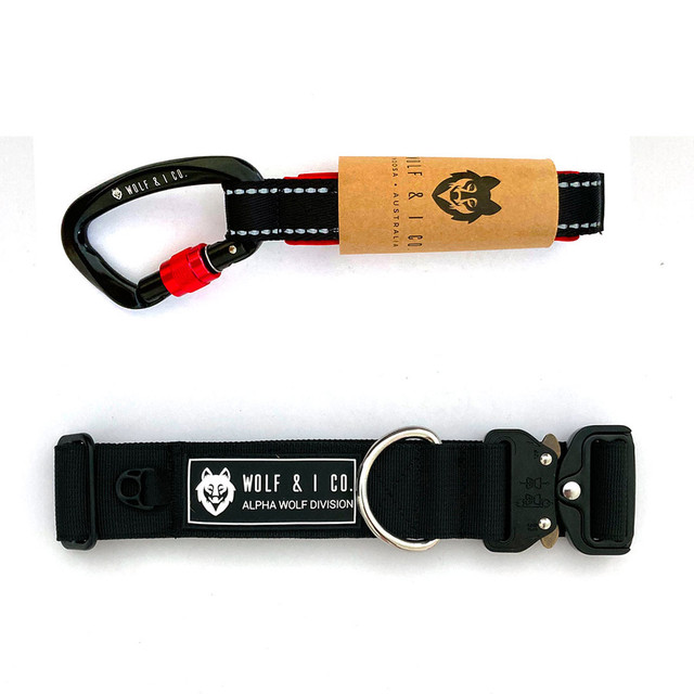 Black dog hot sale training collar