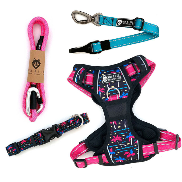 Ensure your dog travels safely every time. This travel pack for dogs features high visibility front and back clip dog harness, dog seatbelt, ML dog collar and 4ft dog leash. Shop online today and save!