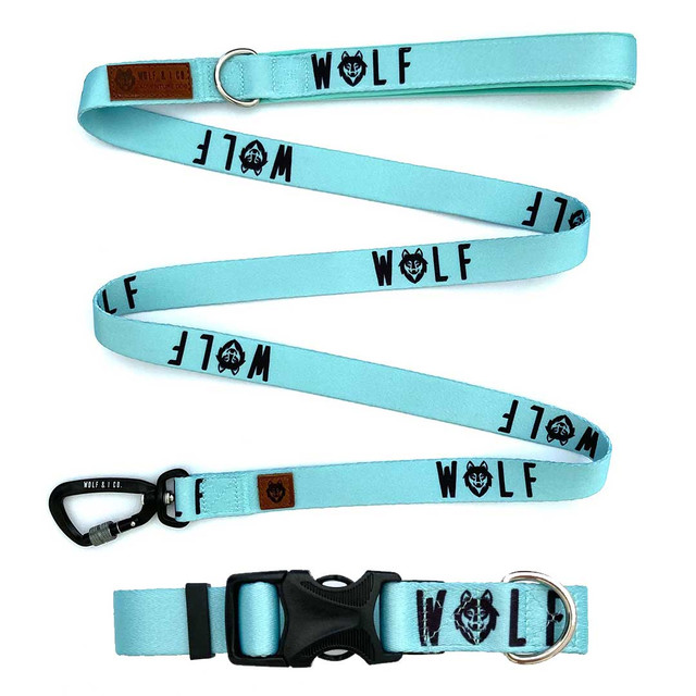Wolf & I Co. matching mint green dog leash & dog collar sets are ideal for everyday dog walking. Shop online now and save.
