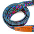 The Palm Springs  5ft dog leash features a bright palm tree print to stand out from the pack.