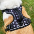 Wolf & I Co. Reflective No Pull Dog Harness, featuring stainless steel D rings, reflective weave and front and back leash attachment. This design also includes a handle for added control.