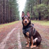Premium No Pull Harness fro Wolf & I Co. Built to outlast your next adventure. Water friendly. Durable. Adjustable.
