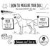 How to measure your dog guide for the perfect fitting dog harness.