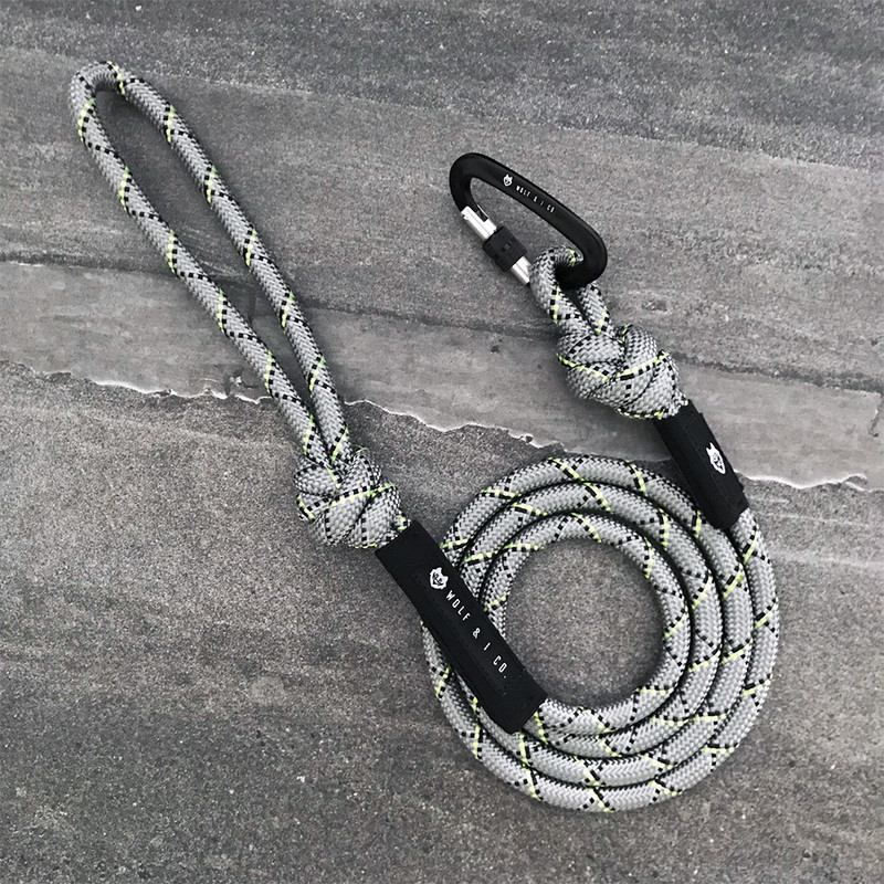 6ft dog leash