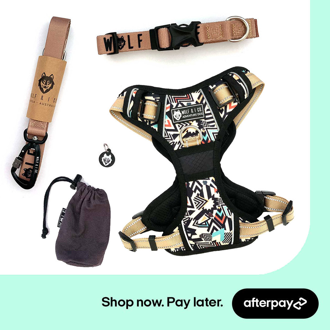 Save up to 35% on dog harness packs during the Afterpay Day Sale