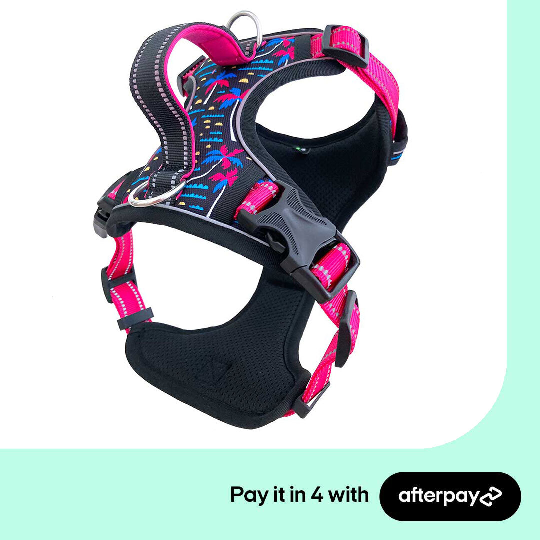 Save 30% on best dog harnesses during the Afterpay Day Sale