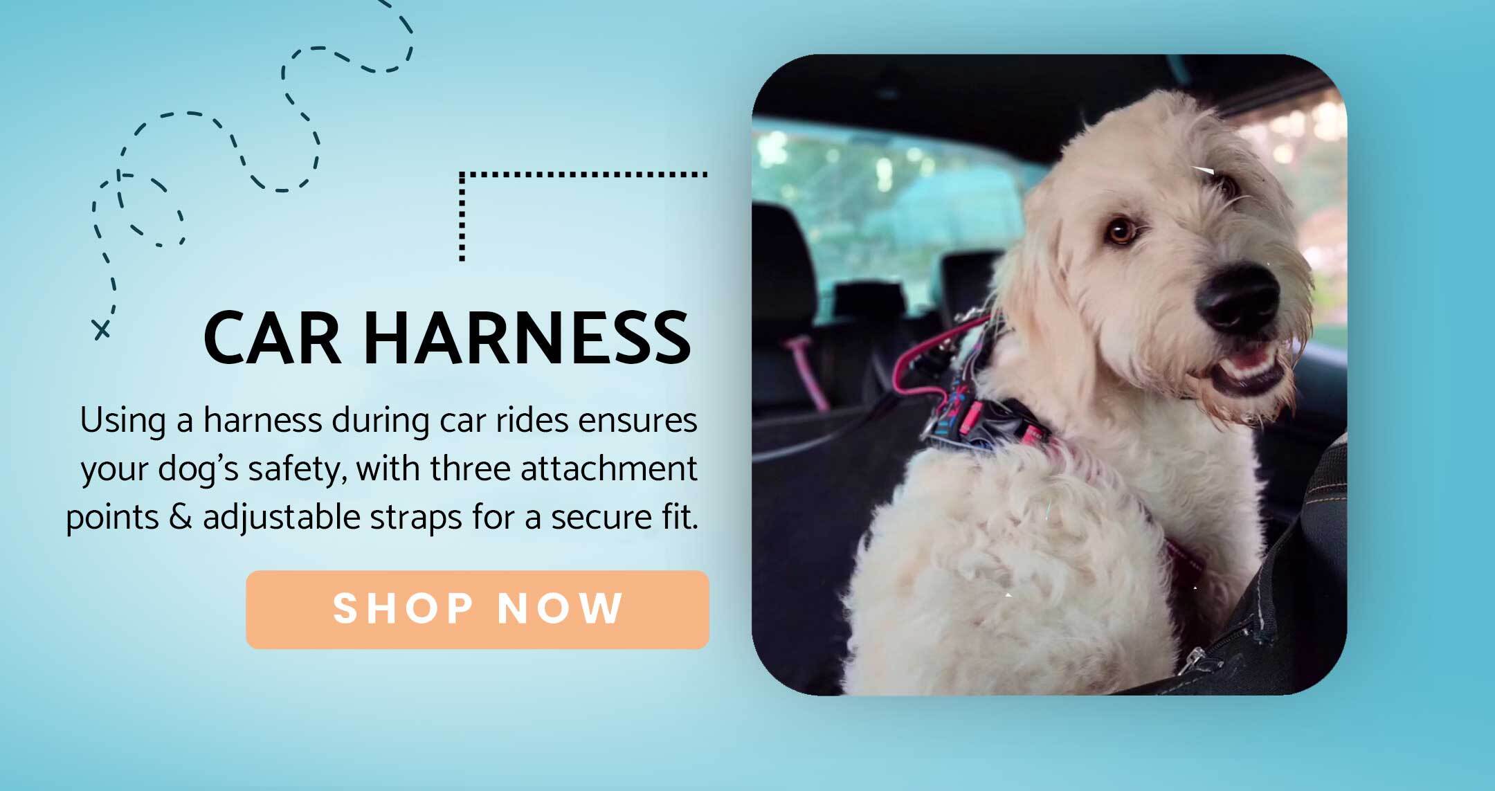 Ensure your dog travels safely with a car harness.