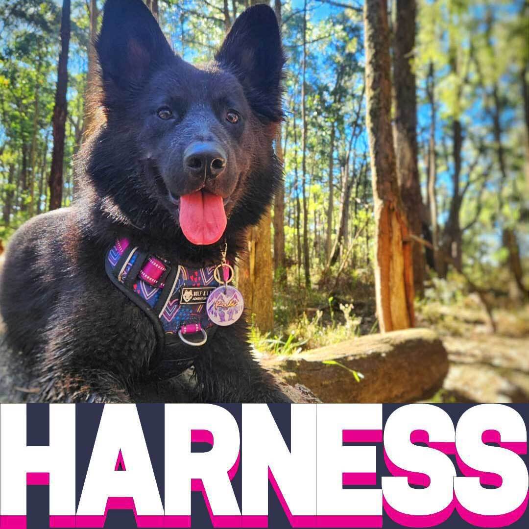 Shop the click frenzy online mega sale and save on wolf & I co. no pull dog harnesses.