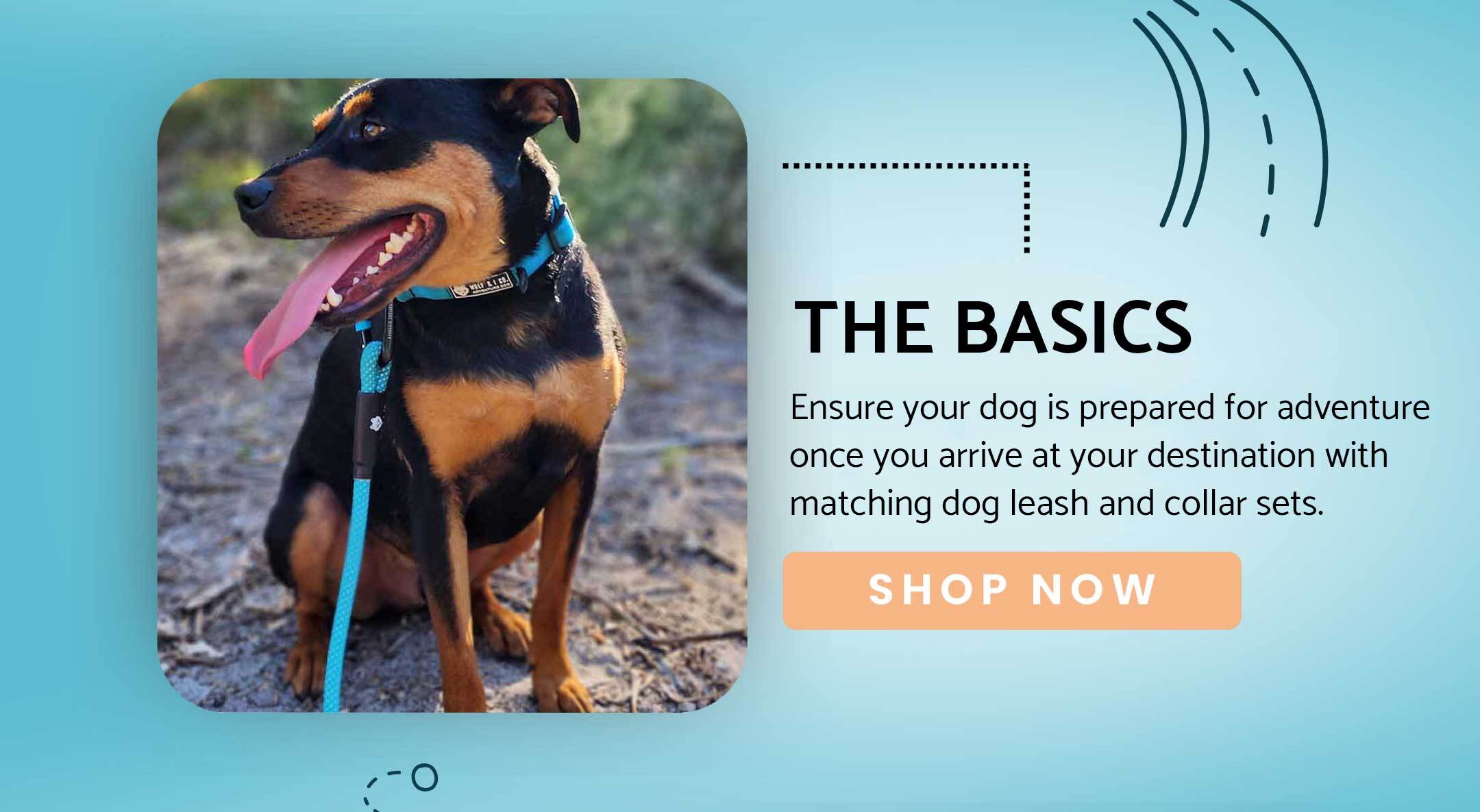 Must have travel essentials include a dog leash and a dog collar.
