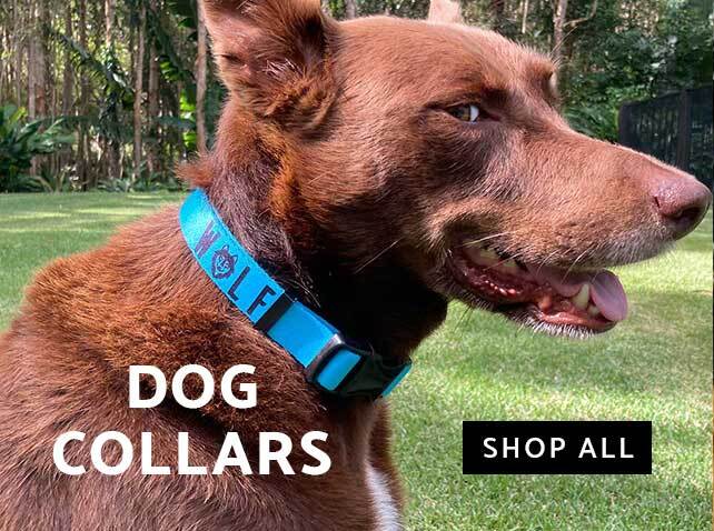 Discover a range of salt water friendly dog collar for dogs of all sizes