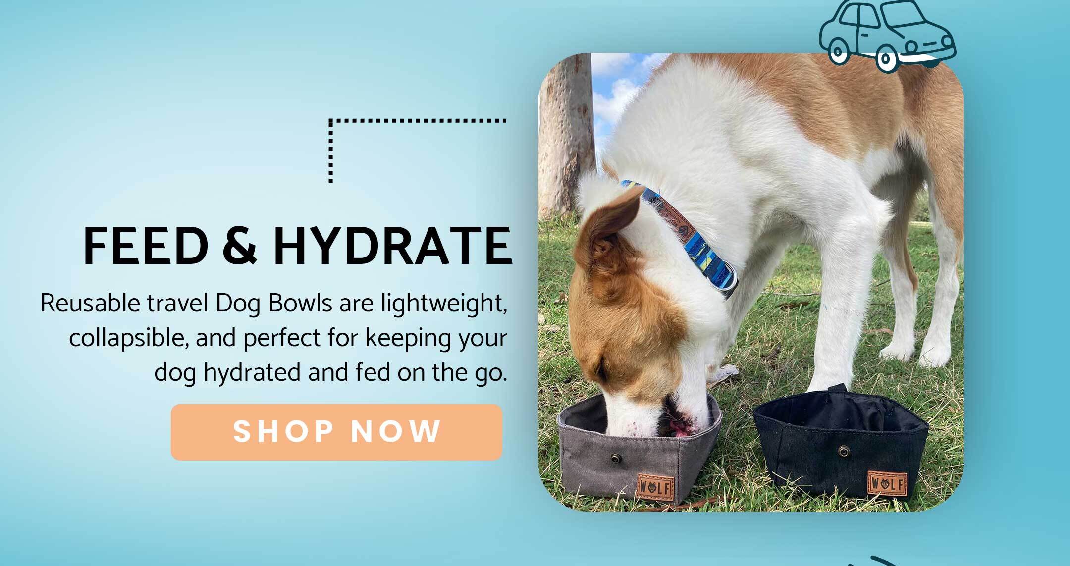 Lightweight, collapsible dog bowls to keep your dog hydrated and fed on the go.